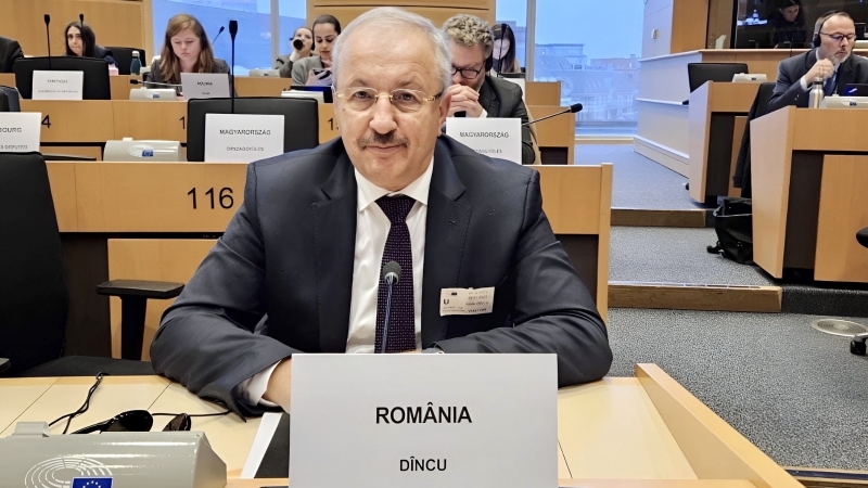 Vasile Dîncu - Alegerile europene care vor avea loc în luna iunie 2024 sunt cele care deschid anul electoral 2024 în România. Aceste alegeri sunt cu atât mai importante pentru țara noastră întrucât vor reprezenta un barometru al participări